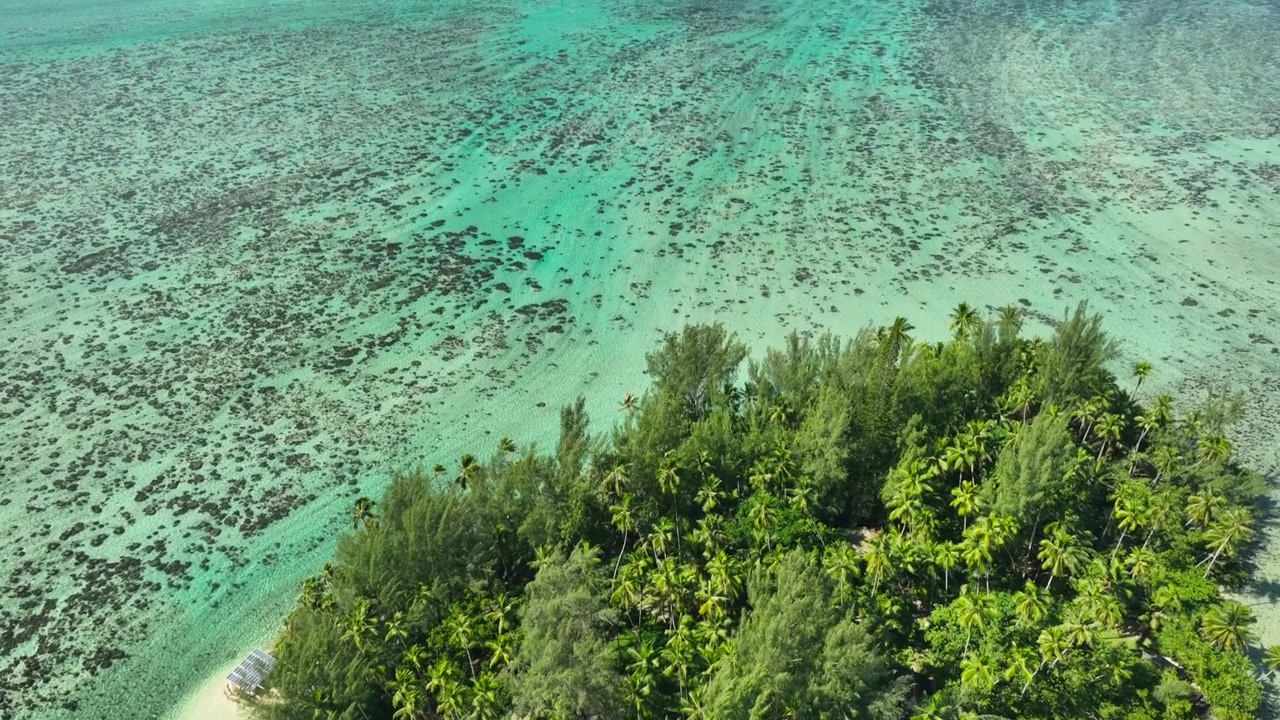 Isola verde lussureggiante con acque basse e limpide, paradiso tropicale, ideale per viaggi e turismo