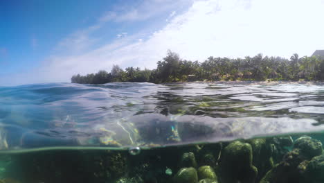 Una-Vista-Superior-Del-Arrecife-De-Coral-En-Rarotonga,-Islas-Cook