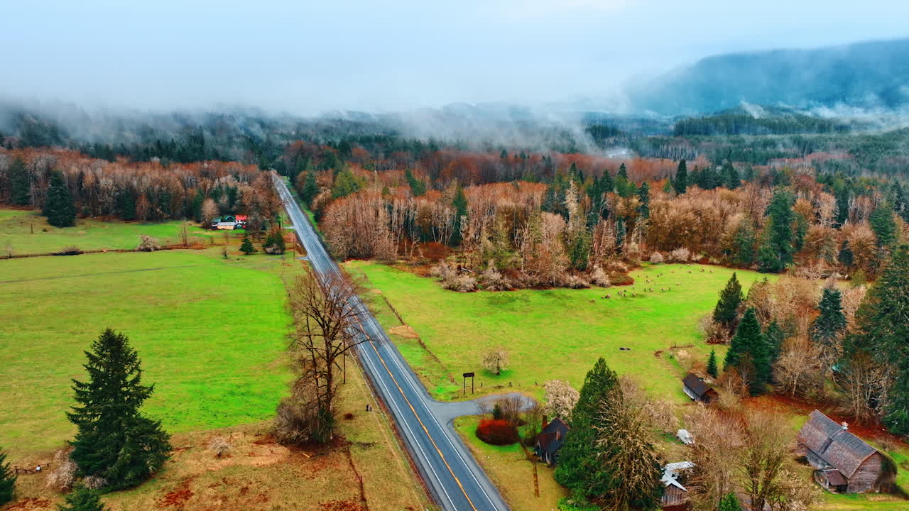 Empty road passing through the picturesque countryside in the mountainous area. Mist raising above the trees and pine-trees in the forest. Aerial perspective.