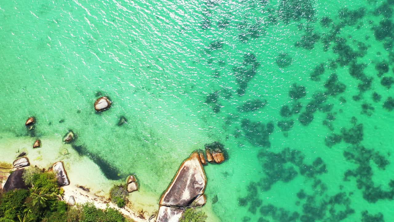 열대 해변 배경