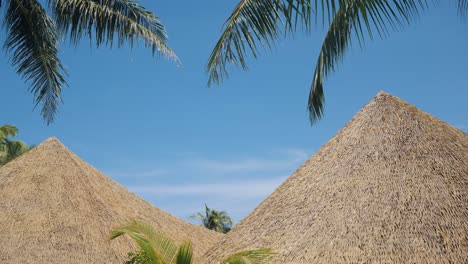 Static-backdrop-shot-of-green-palm-trees-and-thatched-roof-against-clear-blue-sky-with-gentle-breeze-on-a-remote-tropical-island-on-a-hot-sunny-day