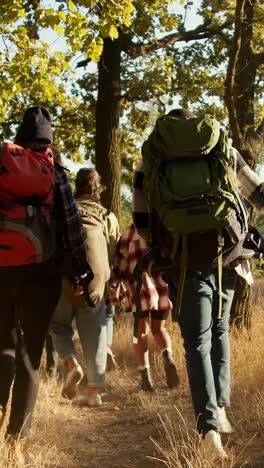 Group Hiking in Forest