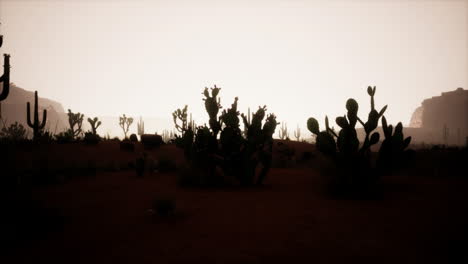 Sand-dunes-against-sky-before-sunrise