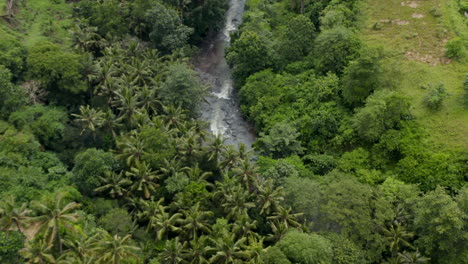 Tiro-De-Inclinación-Aérea-Acercándose-Al-Río-De-La-Selva-Que-Fluye-A-Través-De-Piedras-En-Una-Selva-Tropical