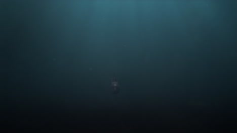 underwater shot of a submarine being chased by a massive leviathan of a fish