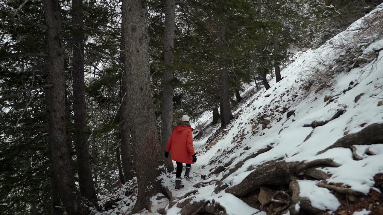 una mujer joven con un gran abrigo naranja de invierno y otros equipos recorre un pequeño sendero nevado rodeado de grandes pinos en un frío día de invierno en el cañón provo, utah