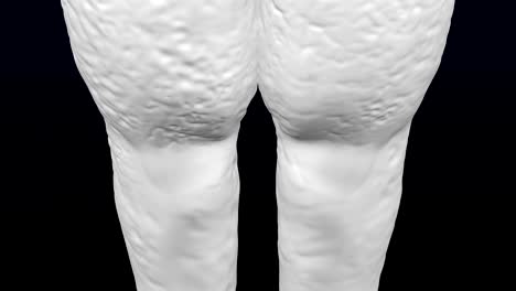 3d woman's legs gain weight and lose weight.