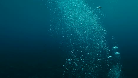 underwater bubbles in the ocean. bubbles float to surface in tropical blue sea.