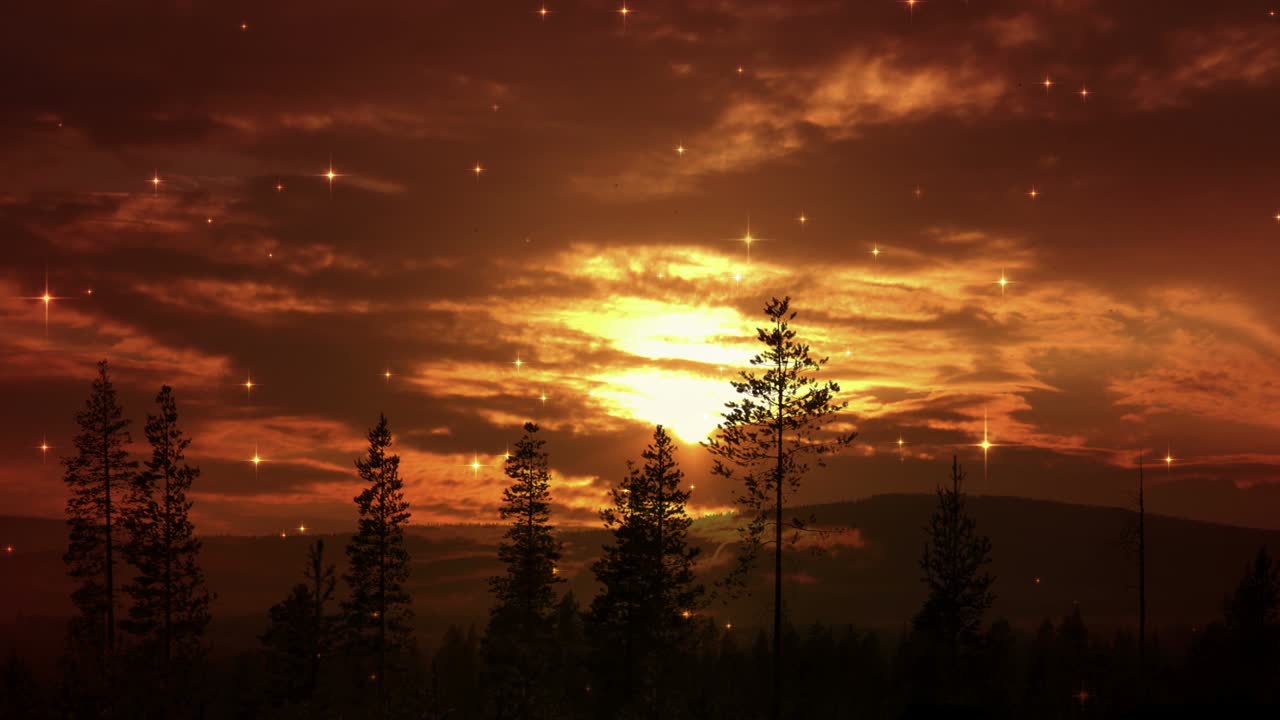 cielo nocturno y árboles de fondo