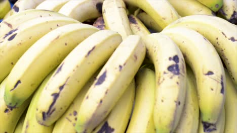 fresh bananas on display for sale at free fair