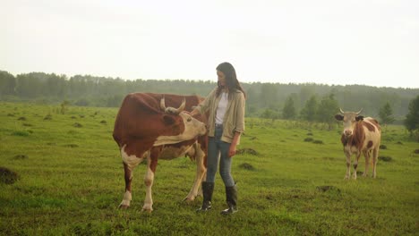 young woman caress a cow. farmer at countryside in summer.