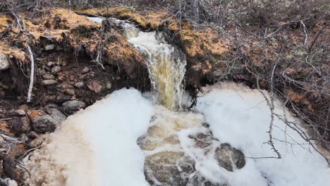 Agua-Cayendo-En-Cascada-Desde-Un-Acantilado-En-El-Bosque-Durante-La-Primavera,-Animando-La-Naturaleza