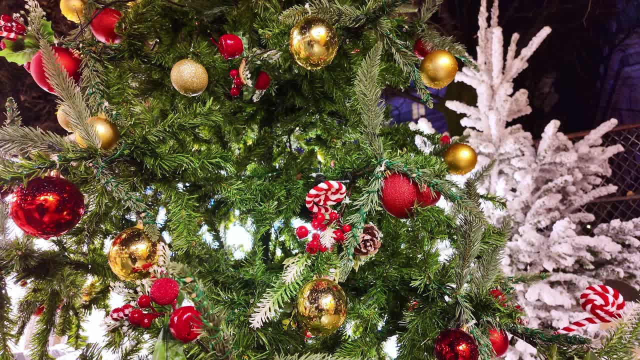 Close up on shiny baubles and red berries nestled in green pine branches, then slowly pulls back showing Christmas tree, creating festive holiday atmosphere with with warm lights and rich colors