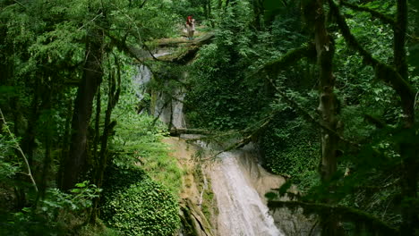 jungle waterfall with hikers