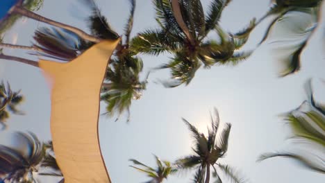 Palm-trees-viewed-from-inside-a-pool-under-the-water-ripples---Slow-Motion