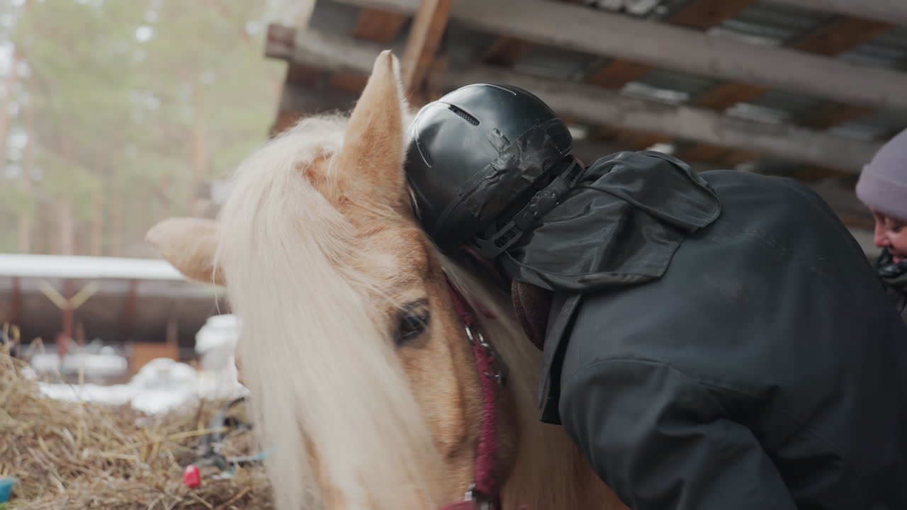Novio afroamericano atendiendo a un caballo palomino cerca de heno y un refugio, alimentándolo y cepillando su crin bajo el techo de un establo; cuidador con casco y abrigo, detalle de fardo de paja y cabestro rosa, momento rutinario de cuidado y calma