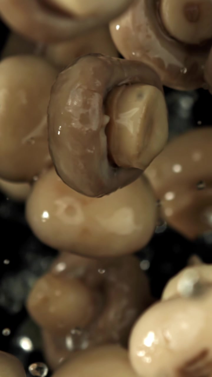 Funghi champignon freschi che cadono al rallentatore con goccioline d'acqua.