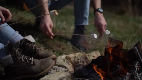 een groep jongeren warmt marshmallows op een kampvuur. detailopname.