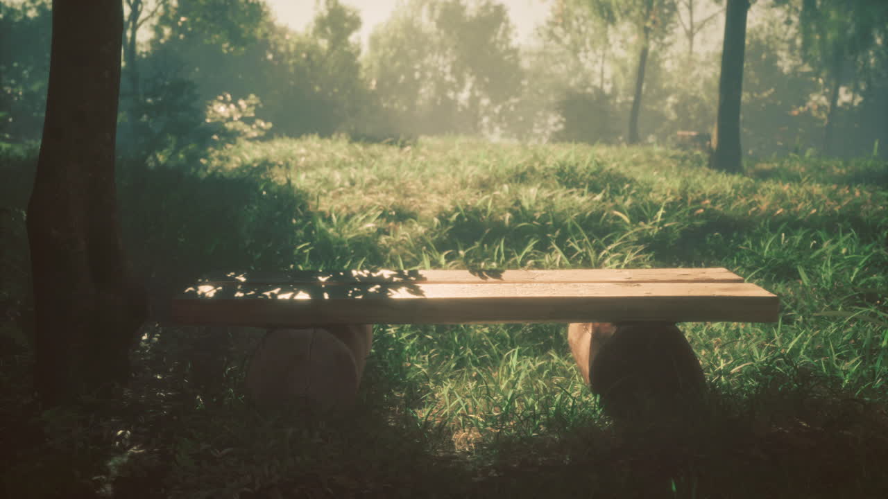 Calm wooden bench in a serene park during early morning light