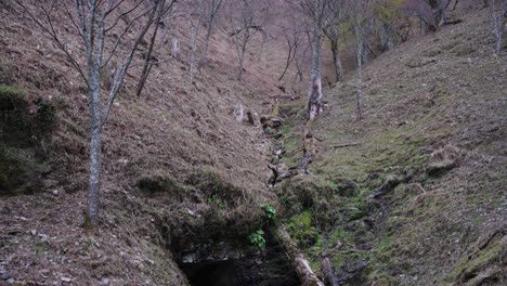 ladera cubierta de hierba de la tierra mora
