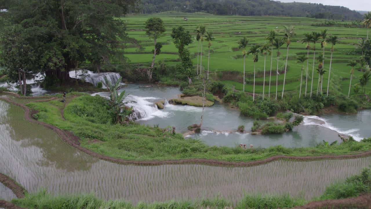 drone vuela sobre los campos de arroz y revela la cascada de waikacura en la isla de sumba, aérea