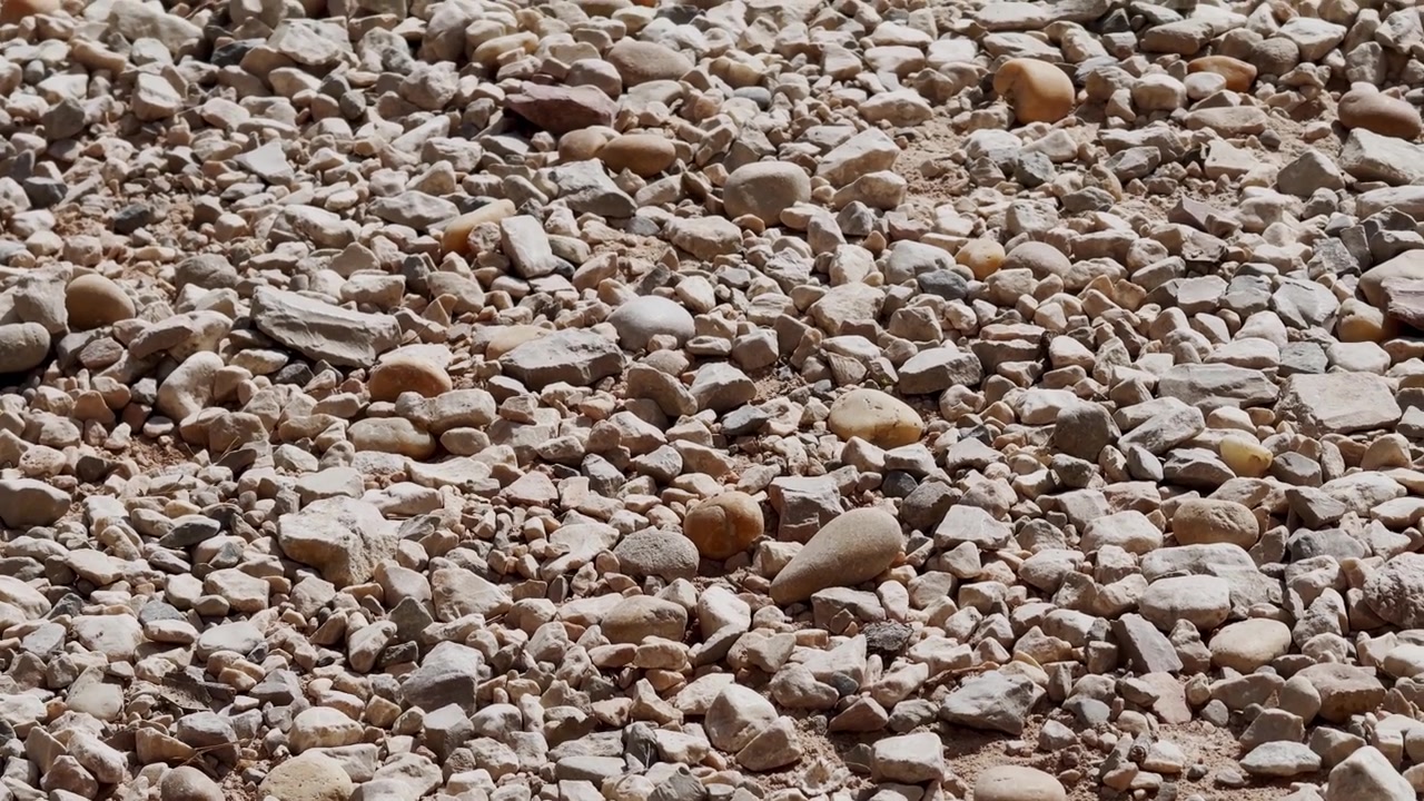 Primer plano de grava pálida y pequeñas piedras bajo la luz solar seca, mostrando textura de suelo rugosa, rocas sueltas, polvo y detalles de agregados de construcción naturales.