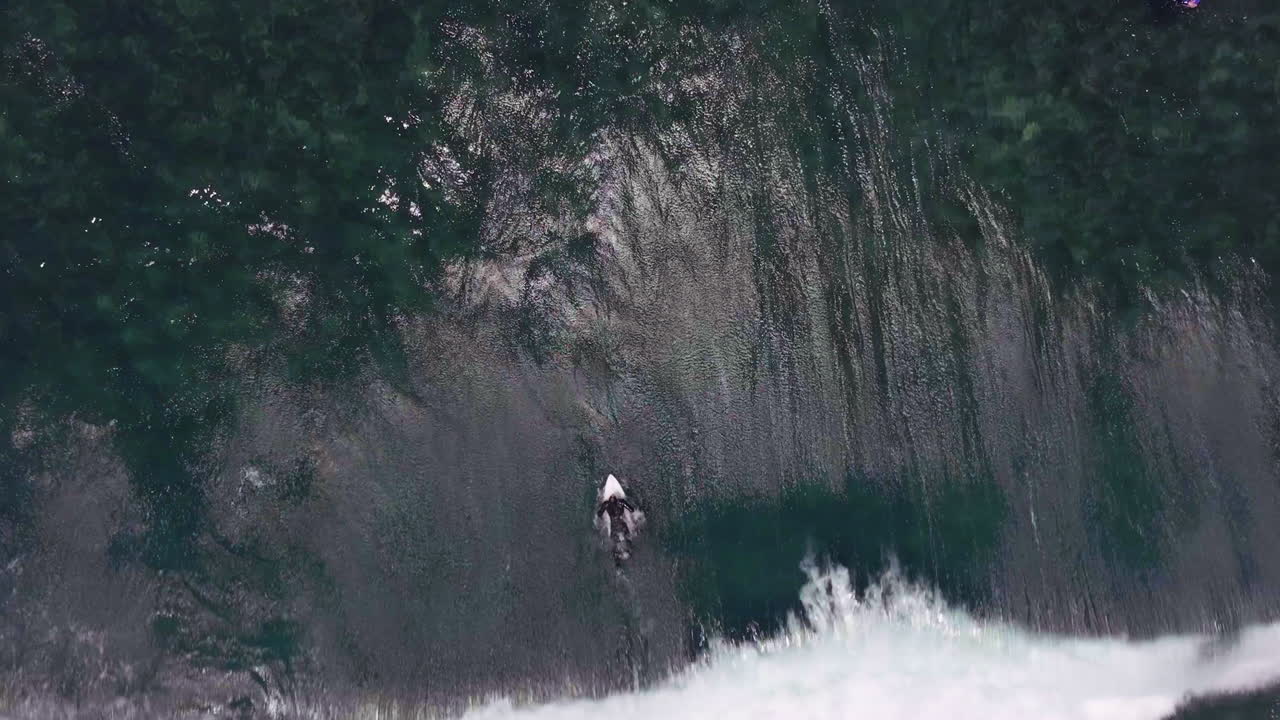 áfrica del sur drones aéreos cinematográficos surfistas remando en tabla de surf a través de grandes olas todavía bae jardín ruta bahía jeffreys luz del día tarde en la mañana verano surf de arriba hacia abajo seguir