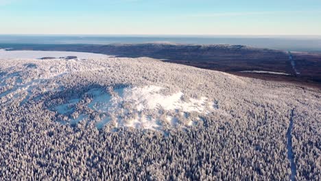 bosque de montaña nevado vista aérea