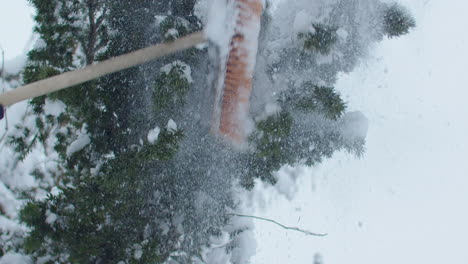 hitting tree branches with a broom from below, a lot of snow falling from the tree