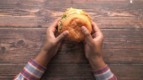 person holding a delicious cheeseburger