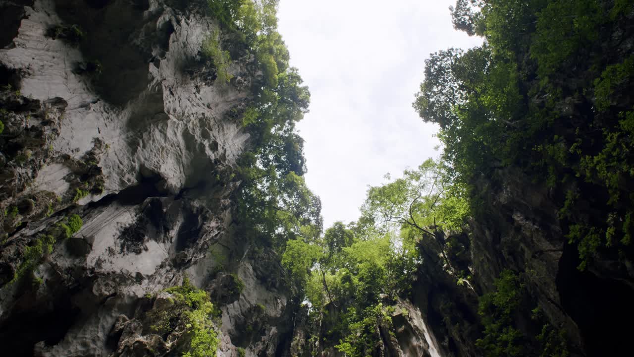 vista hacia el cielo de los acantilados de piedra caliza y el follaje de las cuevas de batu, el dosel y los afloramientos rocosos