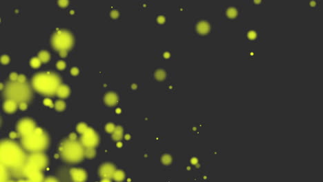 animación mosca resumen oro bokeh y partículas