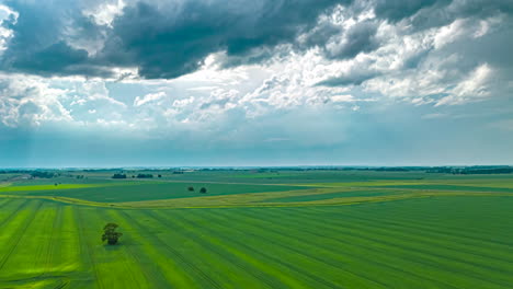 sun through stormy clouds over cornfields - aerial hyper lapse