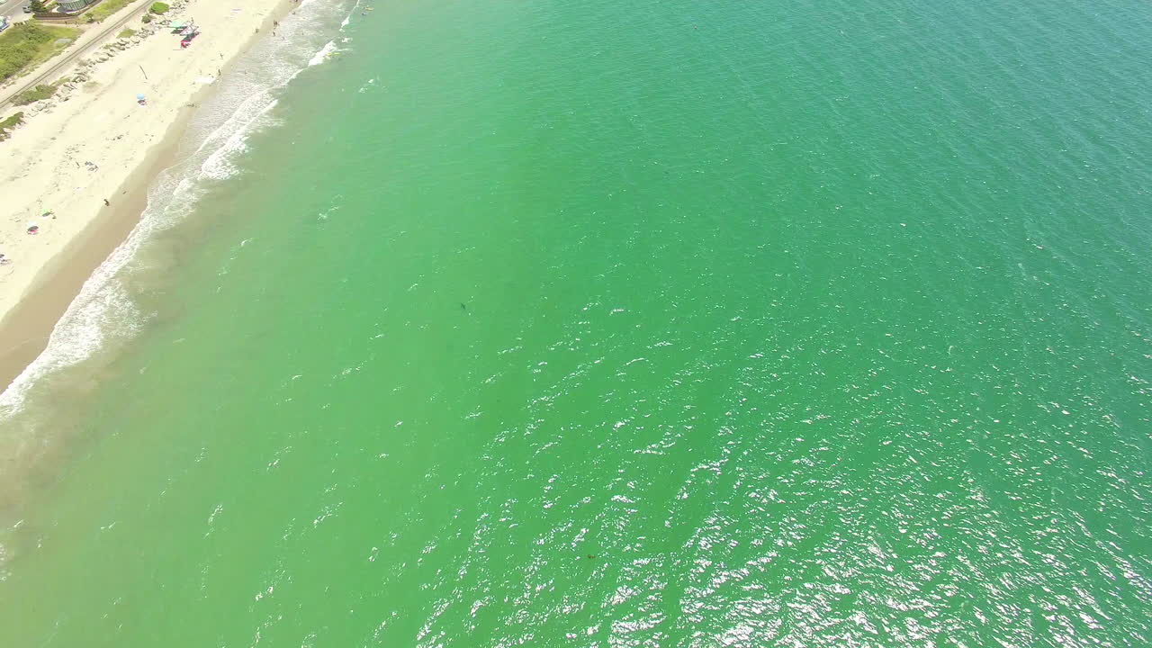 una antena sobre una playa de california con un gran tiburón blanco nadando en alta mar