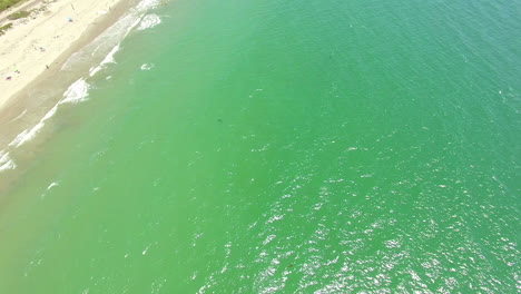 an aerial over a california beach with a great white shark swimming offshore