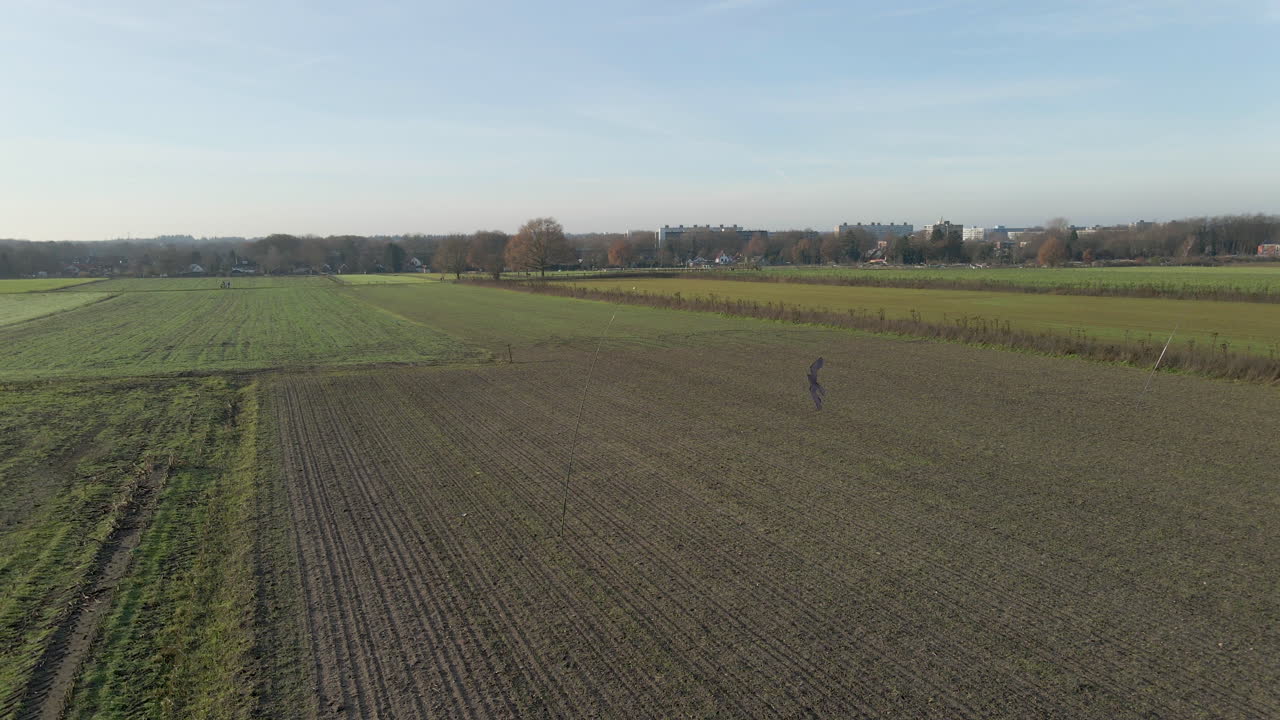 Falkenförmiger Vogelabwehrdrachen fliegt im Wind auf einem Bauernfeld