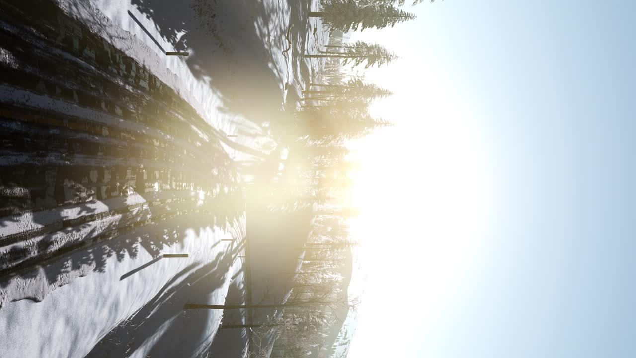 полет над зимним лесом