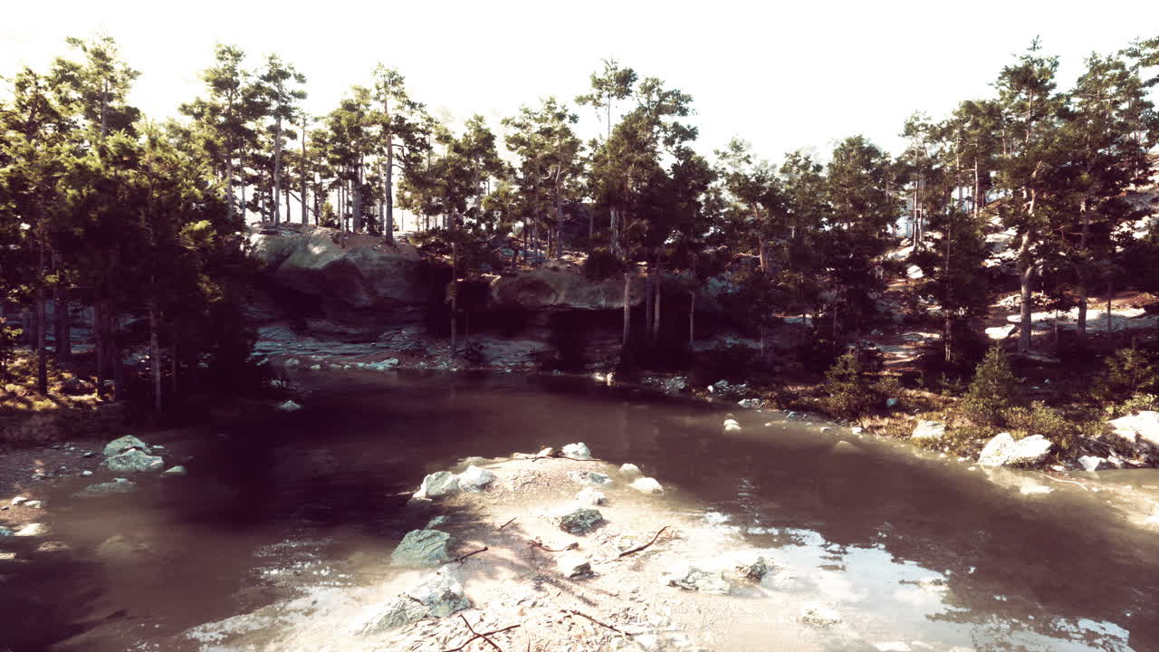 vista aérea de un lago forestal