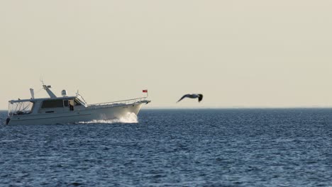 a boat sailing with seagulls flying nearby