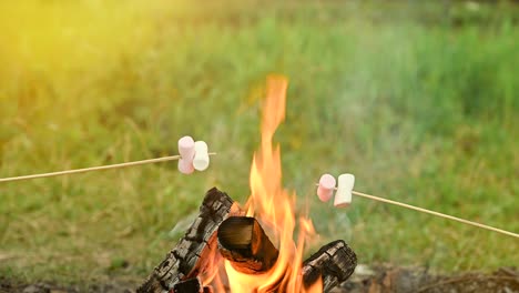 roasting marshmallows on a campfire during camping in nature.