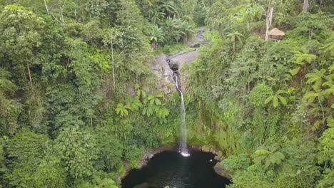 Cascada-4k-En-La-Selva-Tropical,-Lombok,-Indonesia