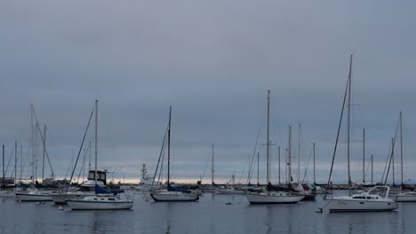 monterey california wharf - fishermans grotto