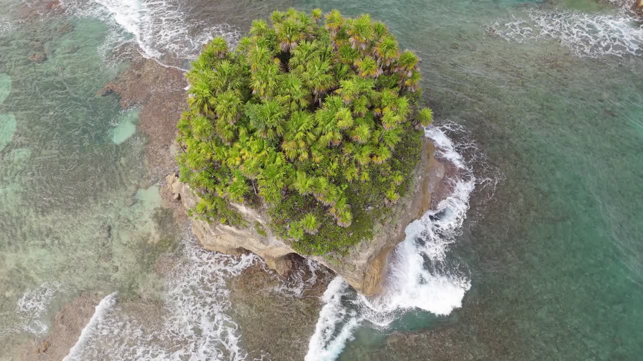 Turtle Bay Island Portland Port Antonio Jamaica