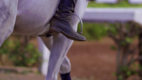 Cinematic-shot-of-a-white-horse-being-ridden-by-a-beautiful-woman-in-black-horse-riding-boots,-Slow-Motion,-Close-Up