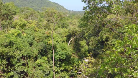 Wunderschöner-FPV-Flug-Zwischen-Bäumen-Mit-Einem-Kleinen-Wasserstrahl-In-Santa-Marta,-Kolumbien,-Südamerika