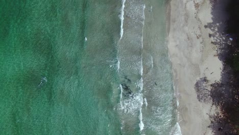 top down drone view over tropical blue waves washing on sandy beach shore, costa rica, 4k