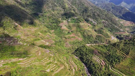 imágenes de drones distantes de un valle verde y terrazas de arroz en el norte de filipinas