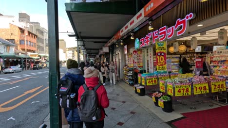 pedestrians and shoppers on a busy urban sidewalk