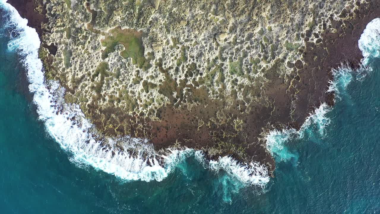 vista aérea de arriba hacia abajo del arrecife de roca de lava de sharks cove en oahu, hawai