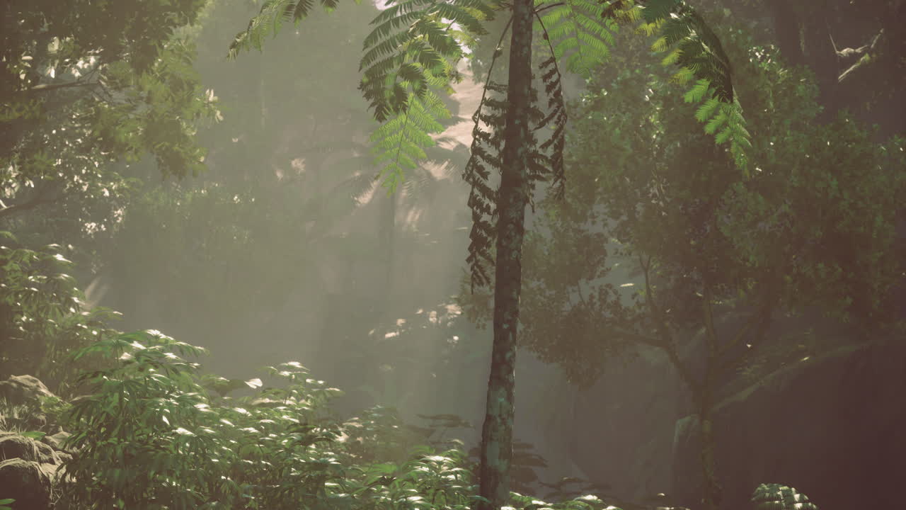 Sunlight filters through lush foliage in a tranquil forest setting